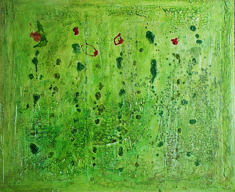 2011_wilde_sommerwiese